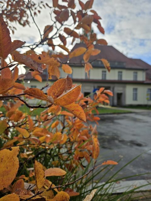 Herbst-Campus-AK-480